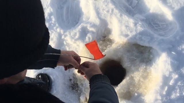 Ловля щуки (Family video) смотреть онлайн