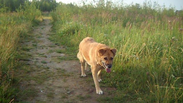 Июль 2023 год.