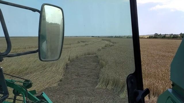 смыло паровую пшеницу (летом) или эрозия почвы в лучшем ее проявлении..... смотреть онлайн