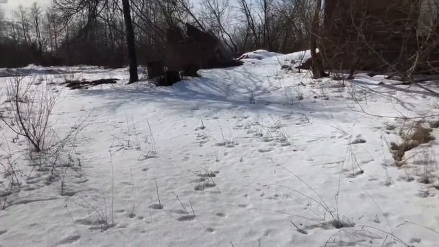 ШОКМЕТАЛЛОКОПЧуть не убили охранника за металл.Драка с волками? смотреть онлайн