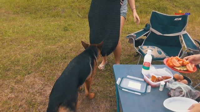 Где найти Кровать раскладушку Гризли для дома рыбалки и отдыха на природе смотреть онлайн