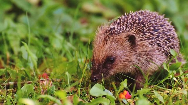 Узнав что невестка беременна, свекровь протянула сверток; увидев ЧТО там, девушка побелела смотреть онлайн