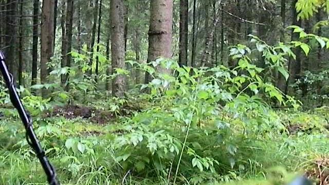 Minelab in search of treasure Терка 505 коп поиск. Без мистера пина тяжко =) смотреть онлайн