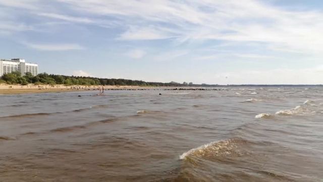 Залив у "Сестрорецкого курорта". 6.06.20. смотреть онлайн