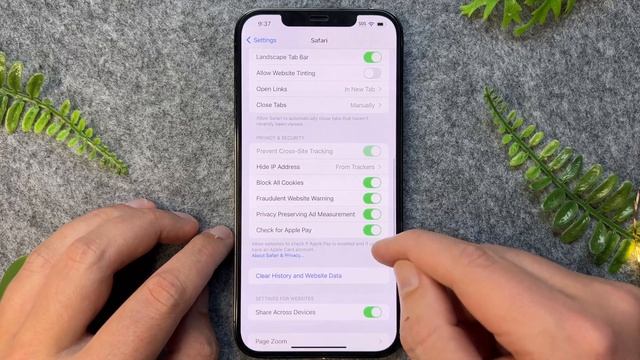 How To Enable Cookies On iPhone & iPad (Best Method) смотреть онлайн