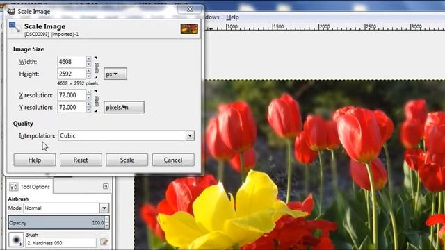 GIMP Tutorial - How to resize an image | Scale image смотреть онлайн