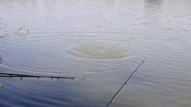 Рыбалка краснодарский край смотреть онлайн