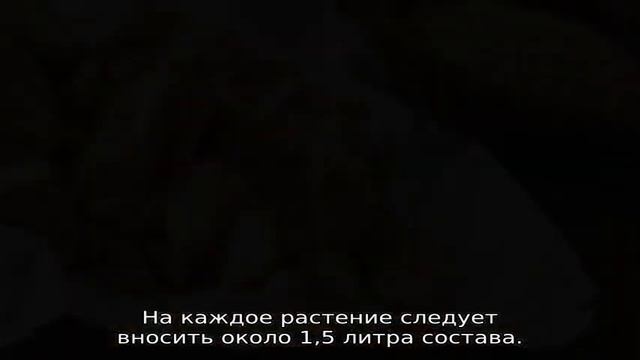 Подкормка дрожжами: помидоры и огурцы смотреть онлайн