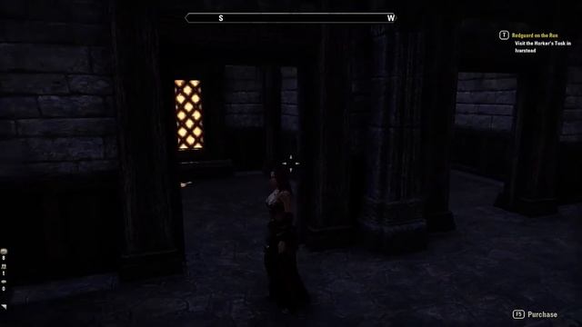 ESO Homestead | Strident Springs Demesne смотреть онлайн