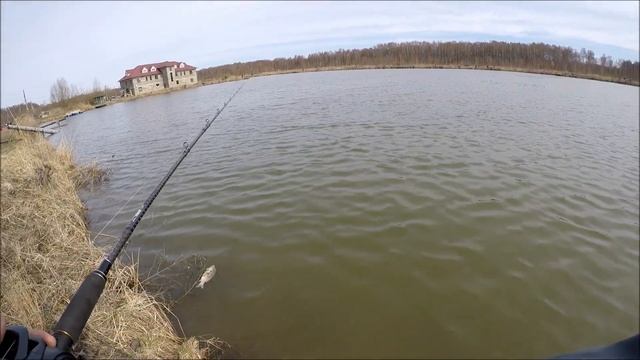 Maximus Manic-X - "укротитель" щук. смотреть онлайн