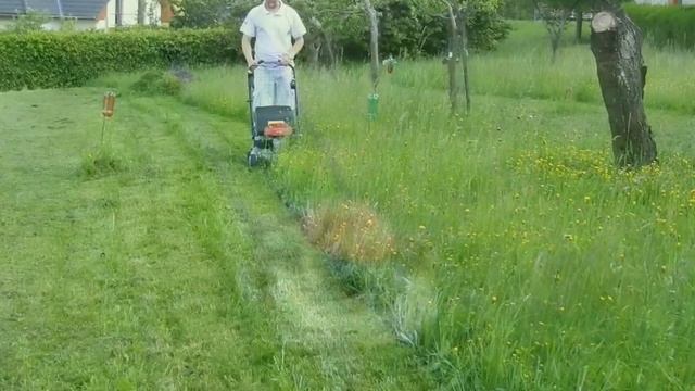 Honda Izy HRG 536 C7 VYEA/ HRR 216 VYA - Sečení Přerostlé Trávy