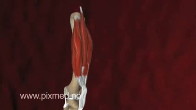 Велосила и энергия