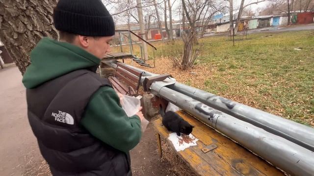 Сдай макулатуру- накорми бездомных животных! смотреть онлайн