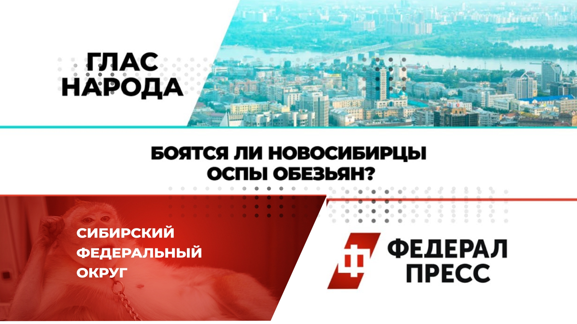 Боятся ли новосибирцы оспы обезьян