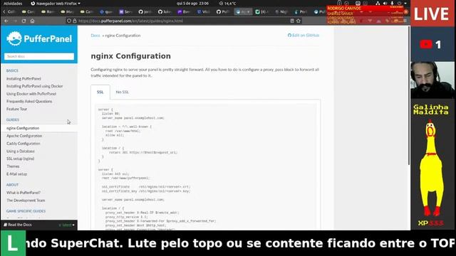 Configurando Servidor de Minecraft - Painel PufferPanel no Docker смотреть онлайн