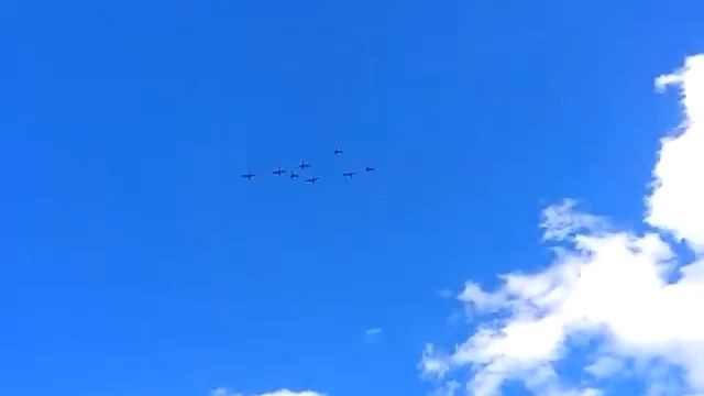 охота на утку ! смотреть онлайн