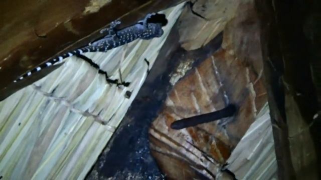 Камбоджа,Сиануквиль,жизнь ночью на балконе смотреть онлайн