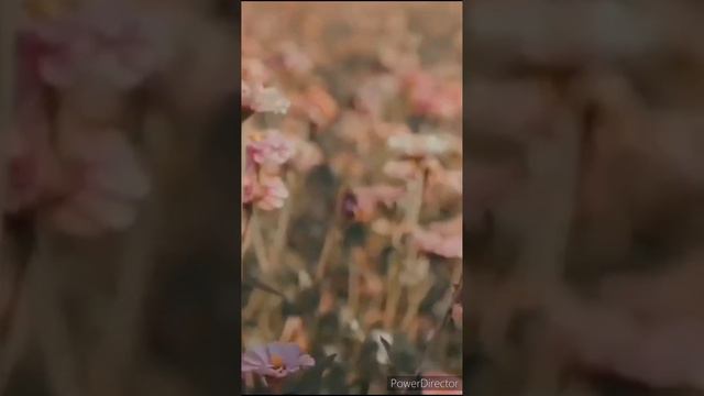 Beautiful girls- flowers/ Прекрасные девушки-цветы 🌸 смотреть онлайн