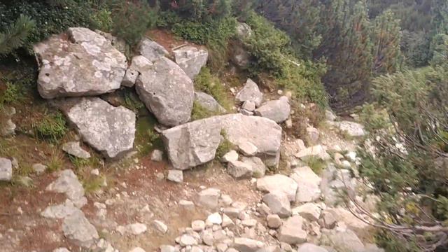 Похід в Карпати 2021 №5 | Буркут, Шибене, Марічейка, Піп Іван Чорногірський, Бребенескул, Луги | смотреть онлайн