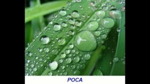 Природные явления - Презентация для детей по Доману