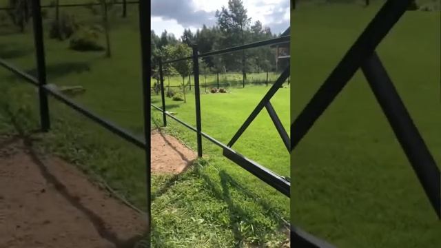 Забор для дачи. Установка и бетонирование столбов. Откатные ворота и мотор Nice RD400. Минск смотреть онлайн