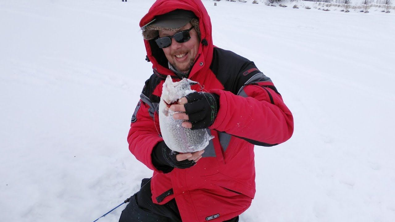 Сколько мощи в этой рыбе! Ловля форели зимой на блёсны, вибы и поставушки. смотреть онлайн