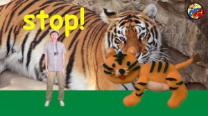 What Do You See? Song | Wild Animals | Learn English Kids