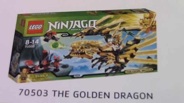 Timka LEGO Ninjago The Visual Dictionary Book (Masters Of Spinjitzu).