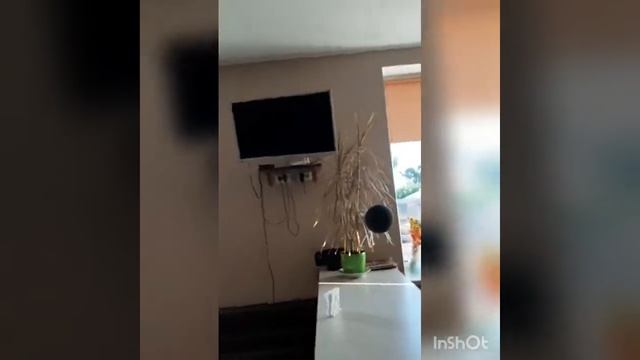 Львов,хостел возле ж.д вокзала . смотреть онлайн
