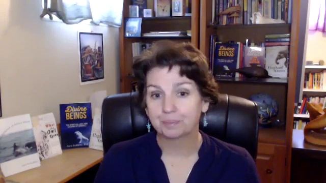 February 2020 Forecast Clarity, Connection and Peace Animal Wisdom Oracle Cards смотреть онлайн