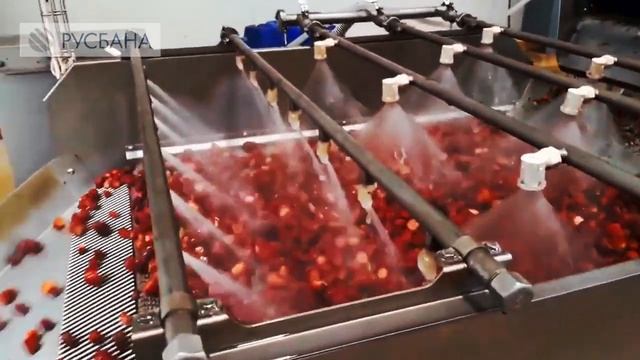 Создаем проекты по заморозке овощей, фруктов, ягод. Оснащаем завод по заморозке лучшим оборудование смотреть онлайн