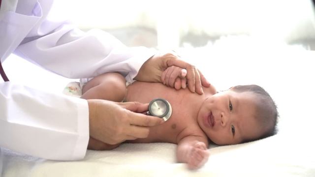 Волк находит ребенка после несчастного случая, а затем происходит немыслимое смотреть онлайн