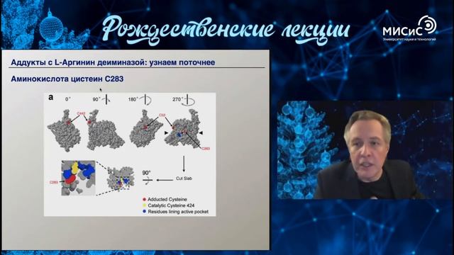 Рождественские лекции. Валерий Фокин: «Была бы водица, а жизнь зародится» смотреть онлайн
