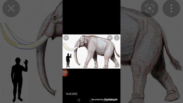 Индораптор против степного мамонта (кто кого?) смотреть онлайн