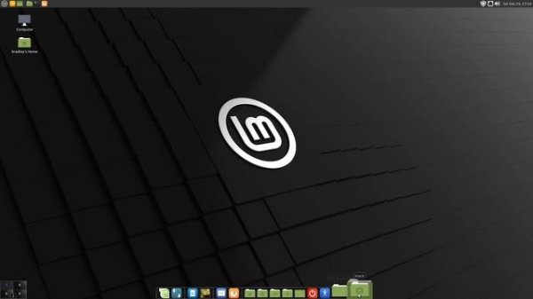 Install Cairo Dock on Linux Mint 20 and Make it Work