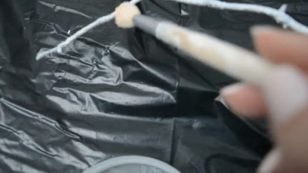 Как сделать заснеженную ветку.DIY.Chrismas decor 2019.