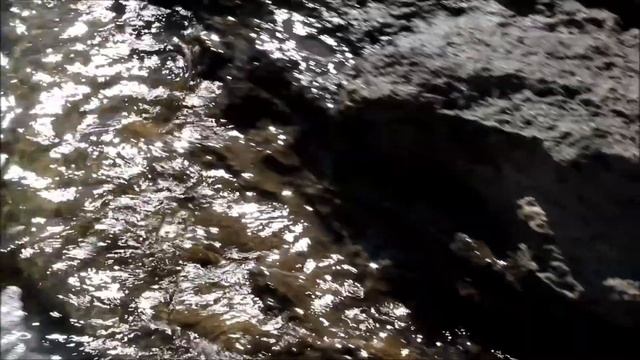 Борьба бычка со змеей смотреть онлайн