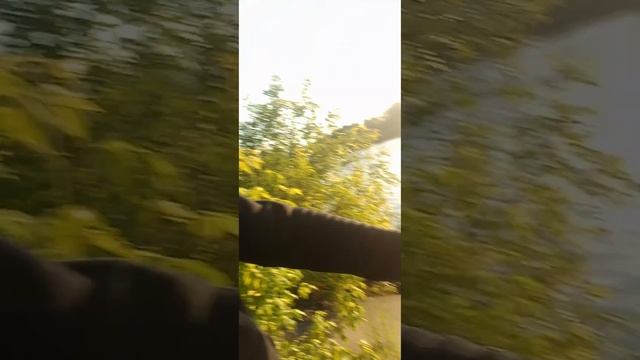 Опасный канал им. Москвы. Рыбалка