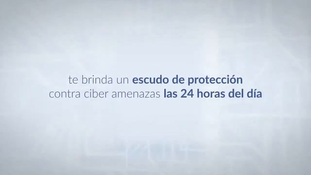 ID Seal Guardian смотреть онлайн