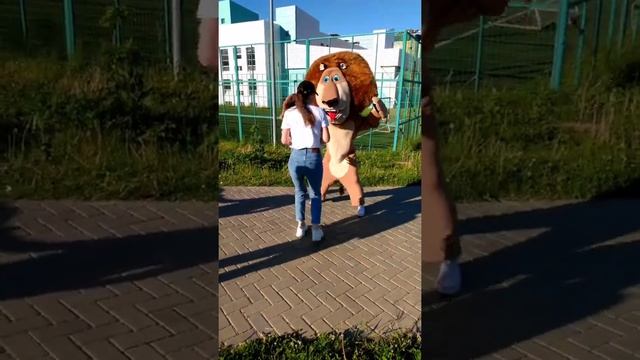 Танцы с Алексом из Мадагаскар Чебоксары смотреть онлайн
