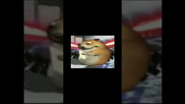 СУСЛИК ПЕРНУЛ смотреть онлайн