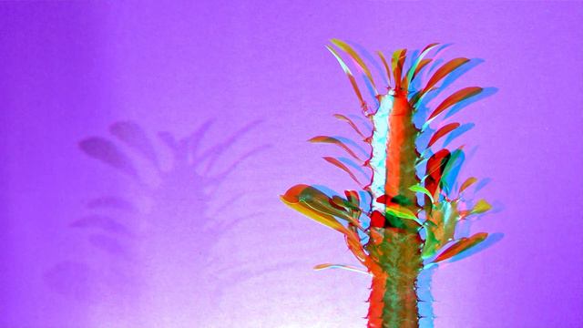 3D Kaktus 3D Anaglyph смотреть онлайн