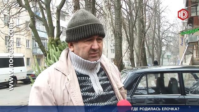 Где родилась ёлочка? смотреть онлайн