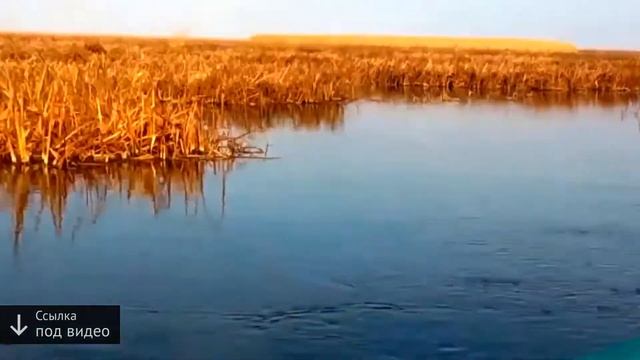 база отдыха в астраханской области московская смотреть онлайн