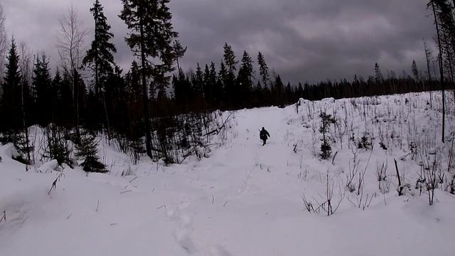 Охота на мотособаке по Глухарю 2019 смотреть онлайн