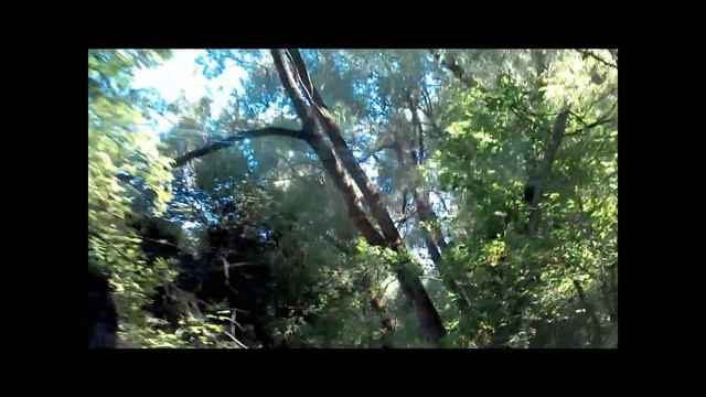 Путешествие в сказку. смотреть онлайн