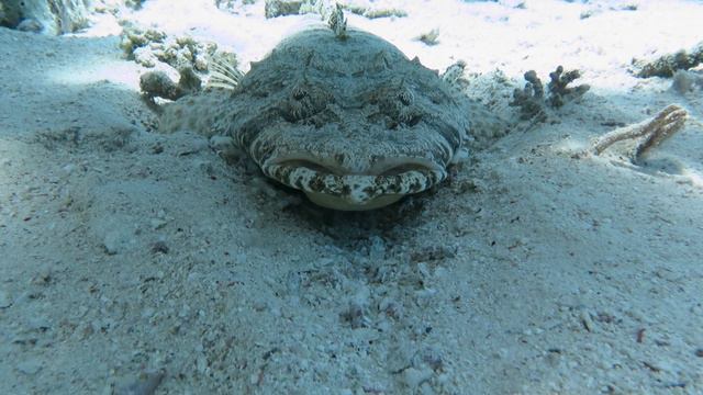 Шарм-эль-шейх 2024