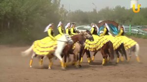 Цветок курая