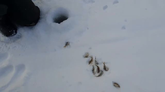 Рождество-великий праздник//отдых тоже должен быть смотреть онлайн