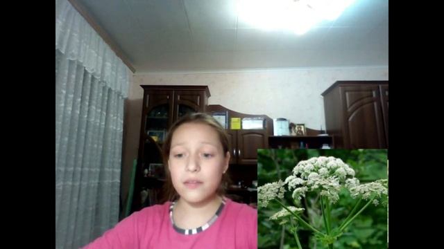 Ядовитые растения и животные. Урок для 5 класса. смотреть онлайн